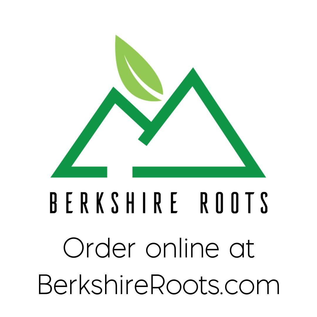 Berkshire Roots Cannabis Dispensary - Medical & Recreational (Pittsfield)-logo