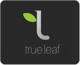 True Leaf Cannabis Shop logo