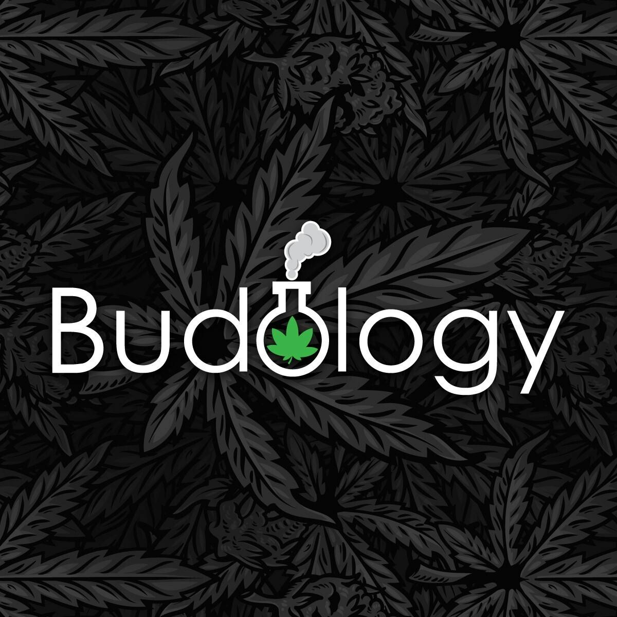 Budology logo