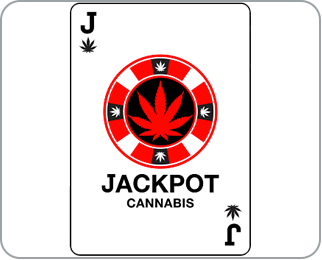 Jackpot Cannabis