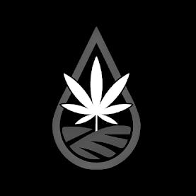 Cannabis Stop Inc logo