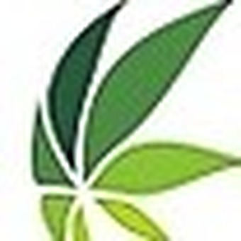 Stirling cannabis logo