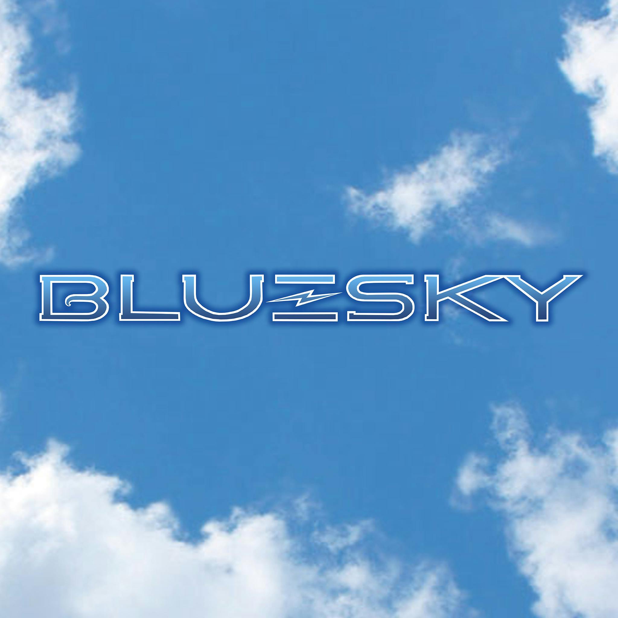 Blue Sky Medical-logo