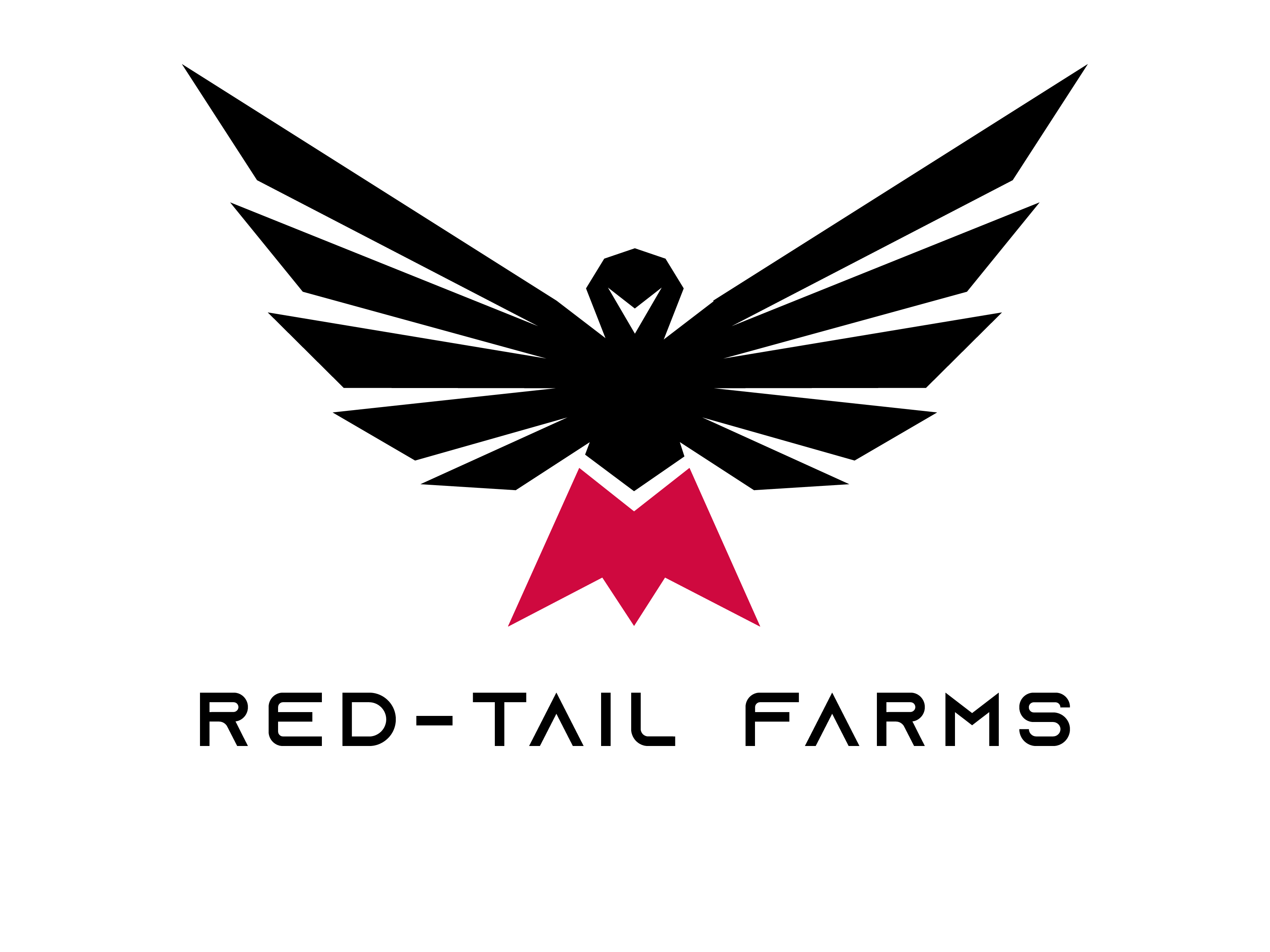 Red-Tail Dispensary logo